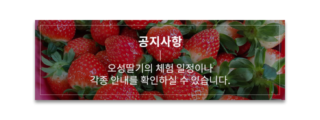 공지사항