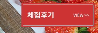 체험후기